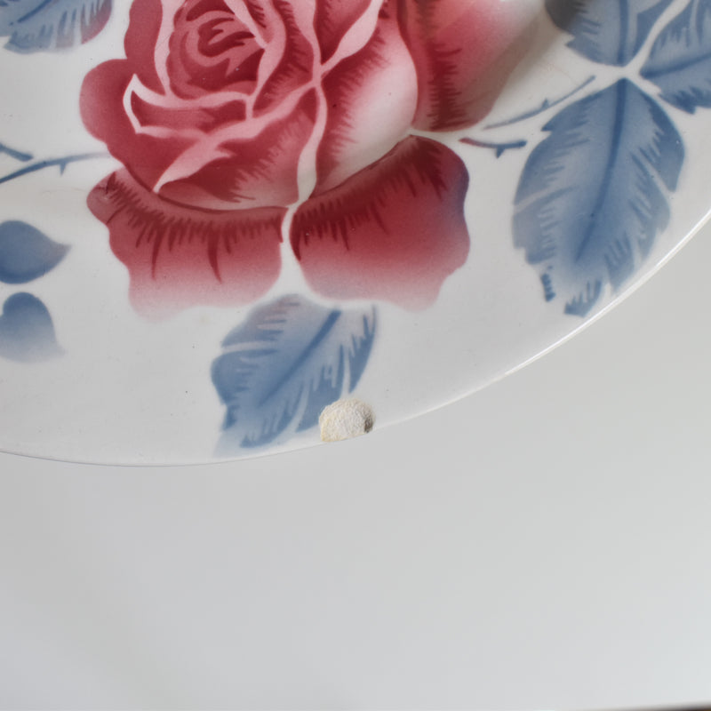 Vintage Plate Digoin & Sarreguemines Janik D