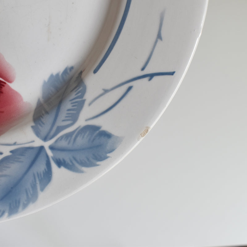 Vintage Plate Digoin & Sarreguemines Janik D