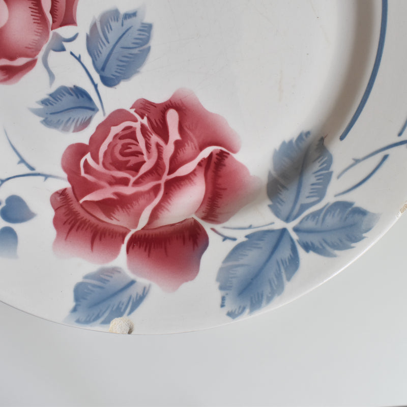 Vintage Plate Digoin & Sarreguemines Janik D