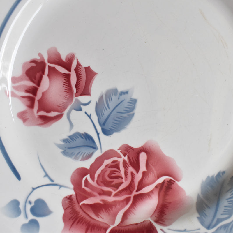 Vintage Plate Digoin & Sarreguemines Janik D