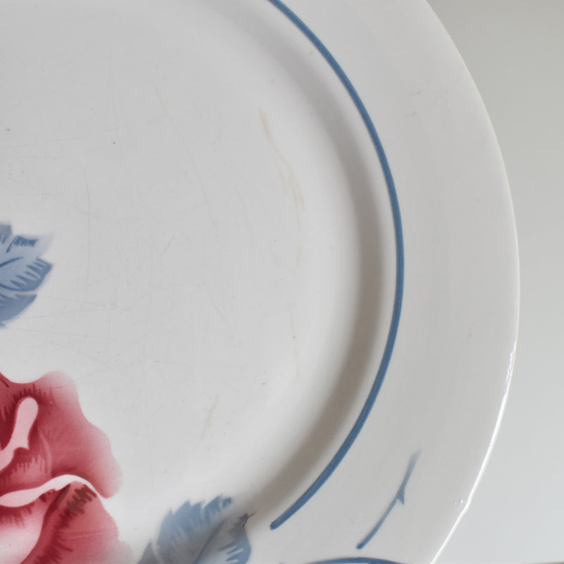 Vintage Plate Digoin & Sarreguemines Janik D