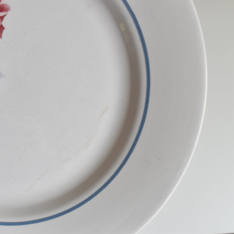 Vintage Plate Digoin & Sarreguemines Janik D