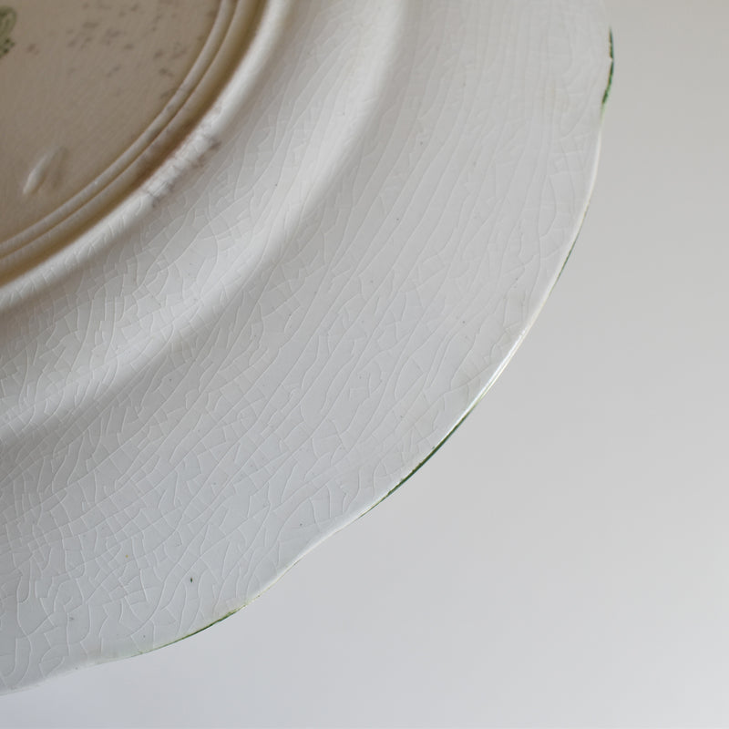 Antique Plate Ridgway Chiswick F