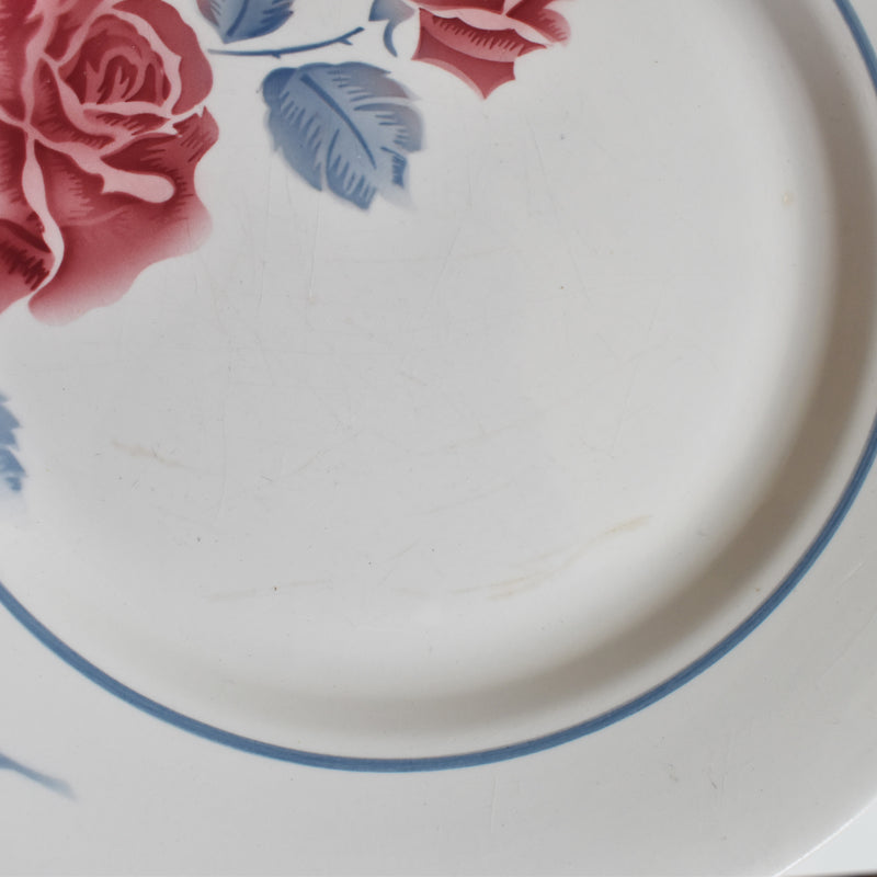 Vintage Plate Digoin & Sarreguemines Janik D
