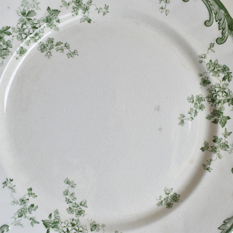Antique Plate Ridgway Chiswick F