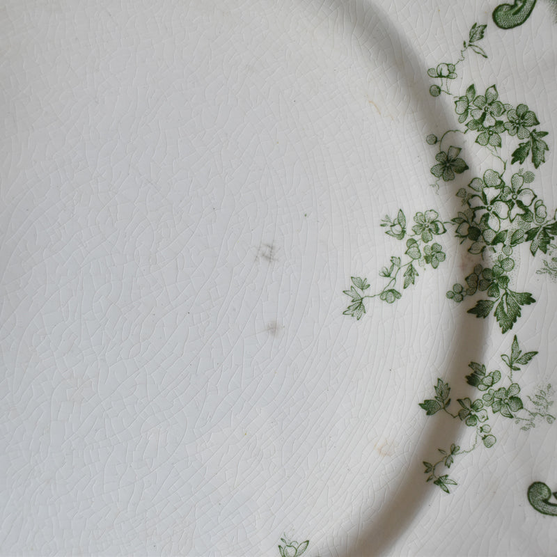 Antique Plate Ridgway Chiswick F