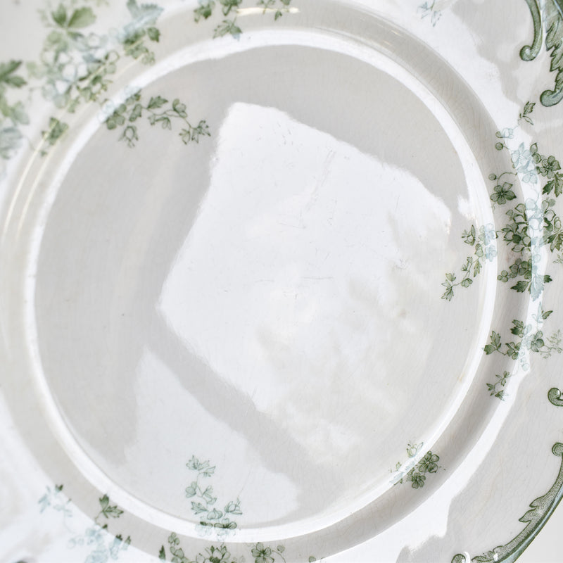 Antique Plate Ridgway Chiswick F