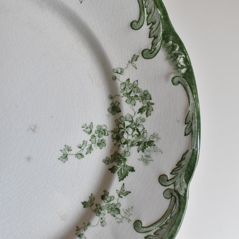 Antique Plate Ridgway Chiswick F