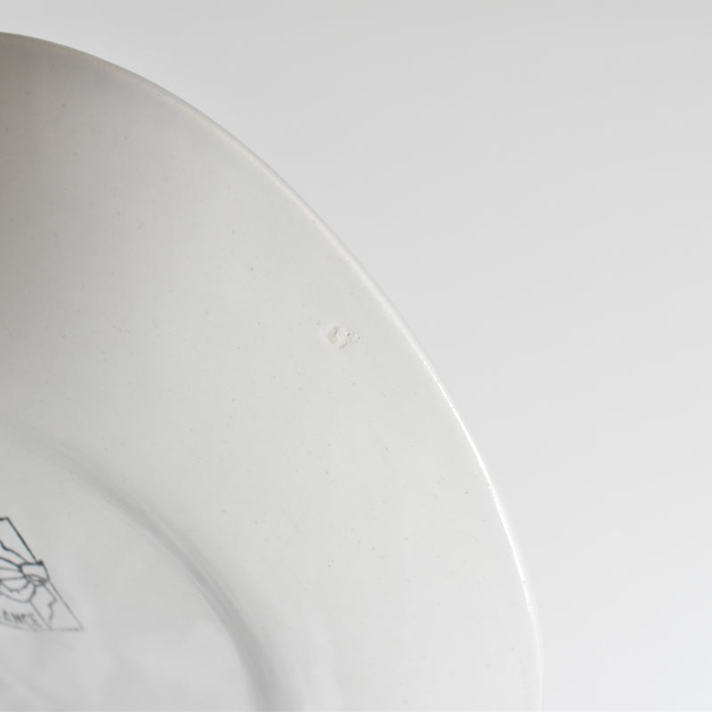Vintage Dessert Plate Saran C