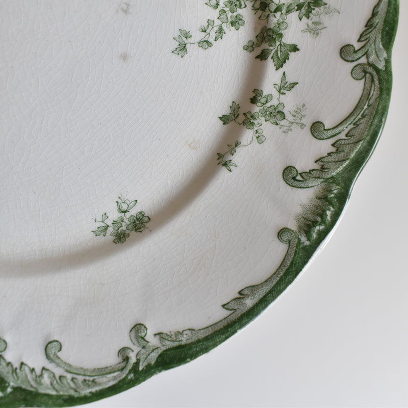 Antique Plate Ridgway Chiswick F