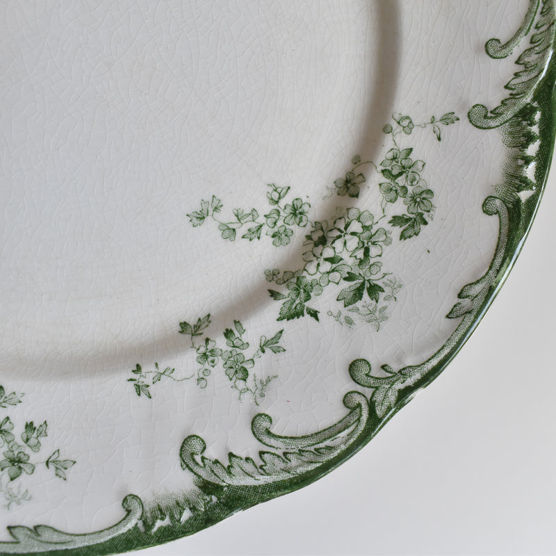 Antique Plate Ridgway Chiswick F