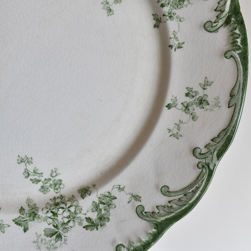 Antique Plate Ridgway Chiswick F