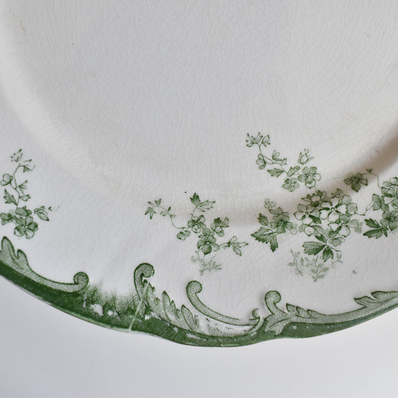 Antique Plate Ridgway Chiswick F