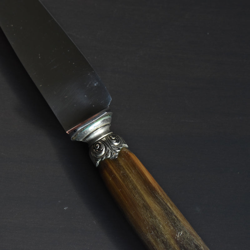 Antique Knife, Horn Handle, MICHERON