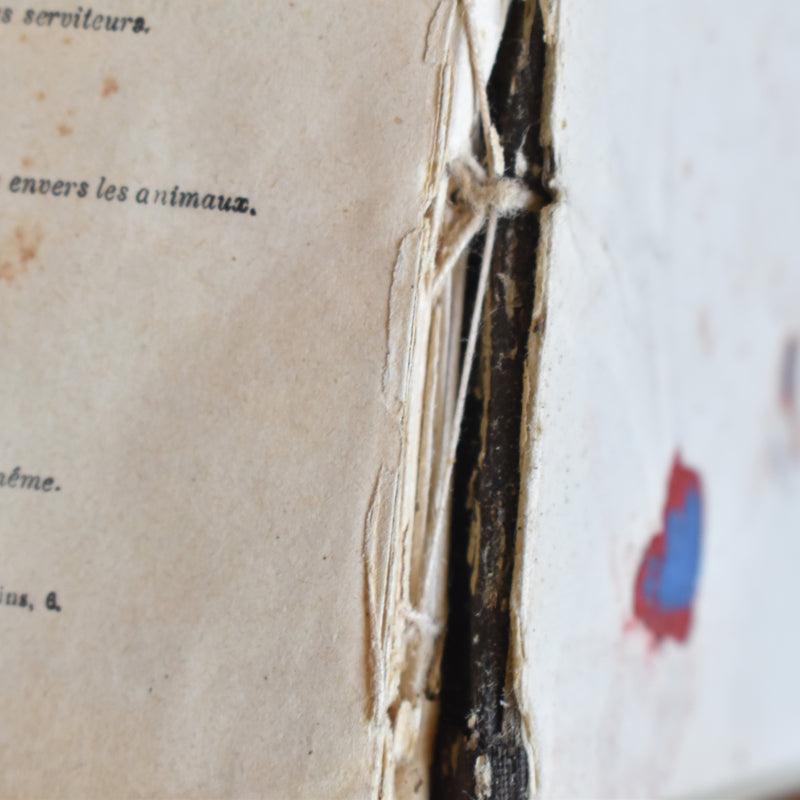Antique Book Nos Petits Amis