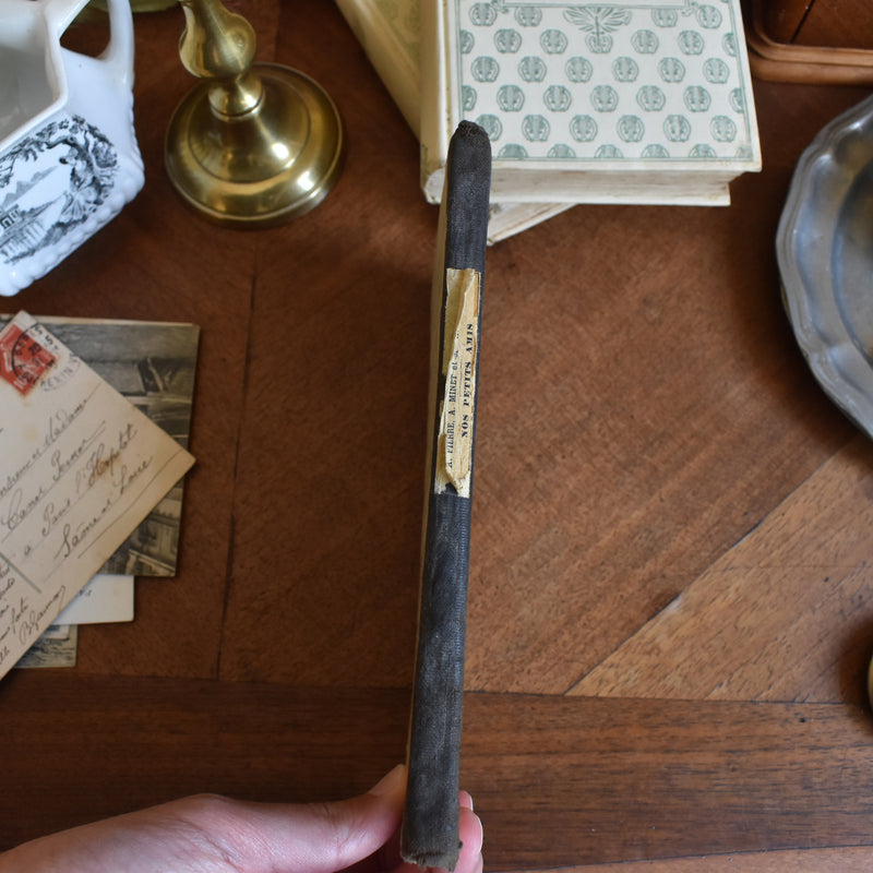Antique Book Nos Petits Amis