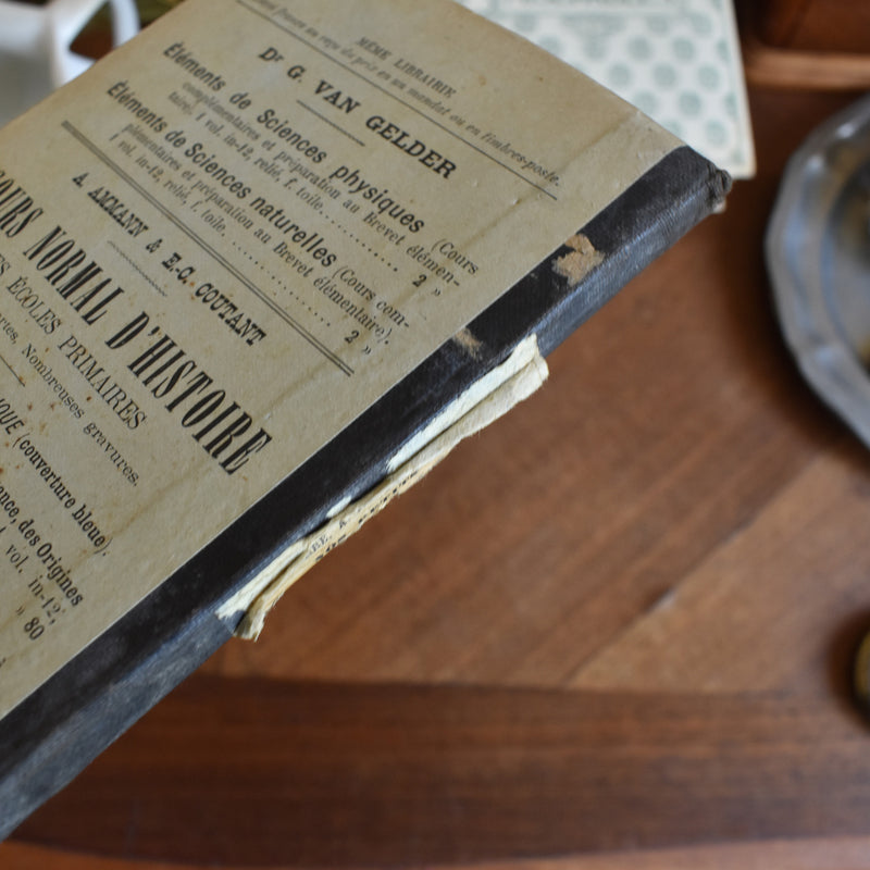 Antique Book Nos Petits Amis