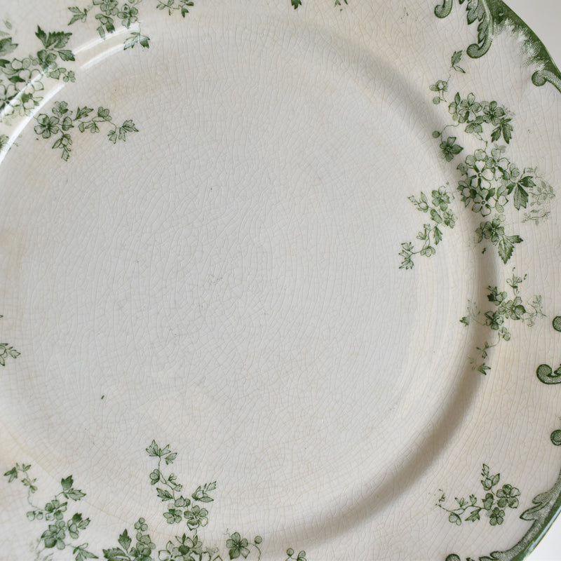 Antique plate Ridgway Chiswick G