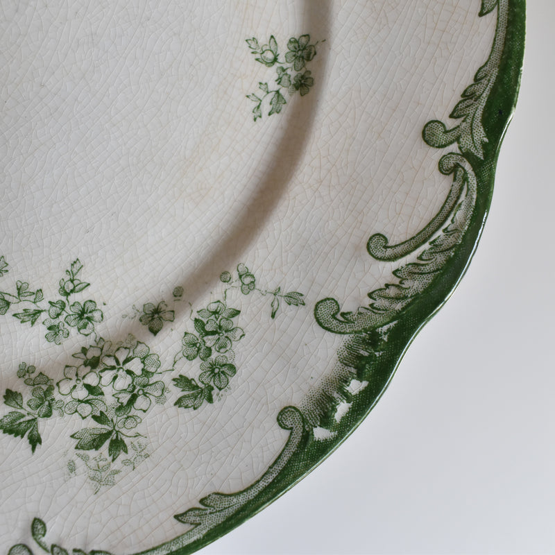 Antique plate Ridgway Chiswick G