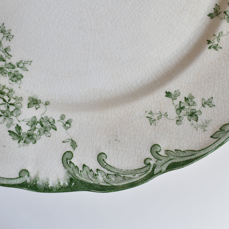 Antique plate Ridgway Chiswick G
