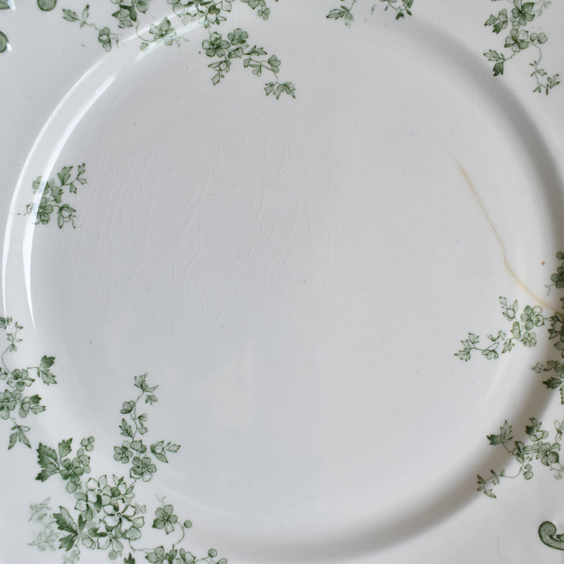 Antique Plate Ridgeway Chiswick (E. Bourgeois) H