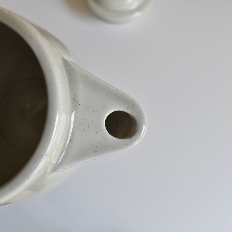 Vintage Coffee Pot Sarreguemines Chardons