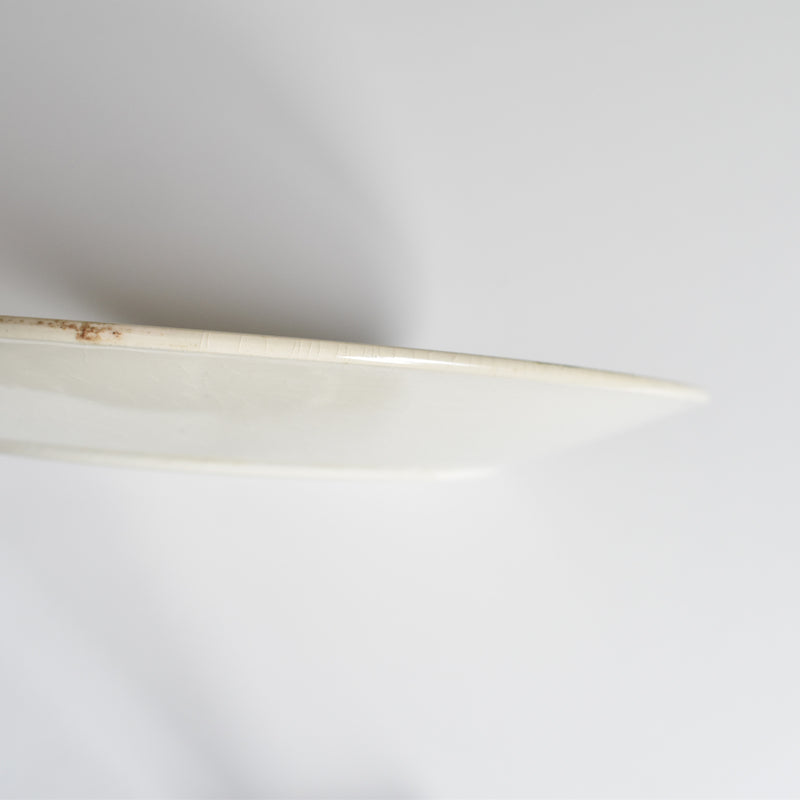 Antique Plate: U&C Sarreguemines Palmyre A