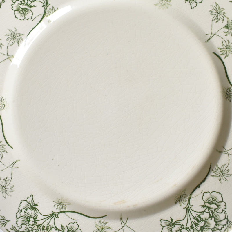 Antique Plate: U&C Sarreguemines Palmyre A
