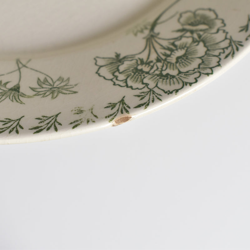 Antique Plate: U&C Sarreguemines Palmyre A