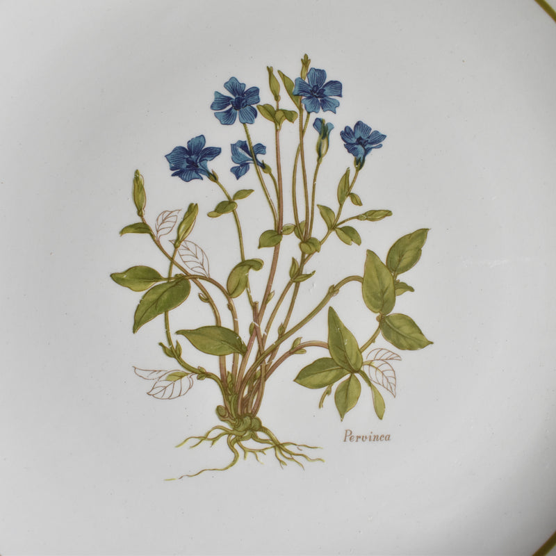 Vintage Dessert Plate, Moulin des Loups Pervinca