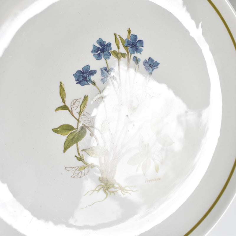 Vintage Dessert Plate, Moulin des Loups Pervinca