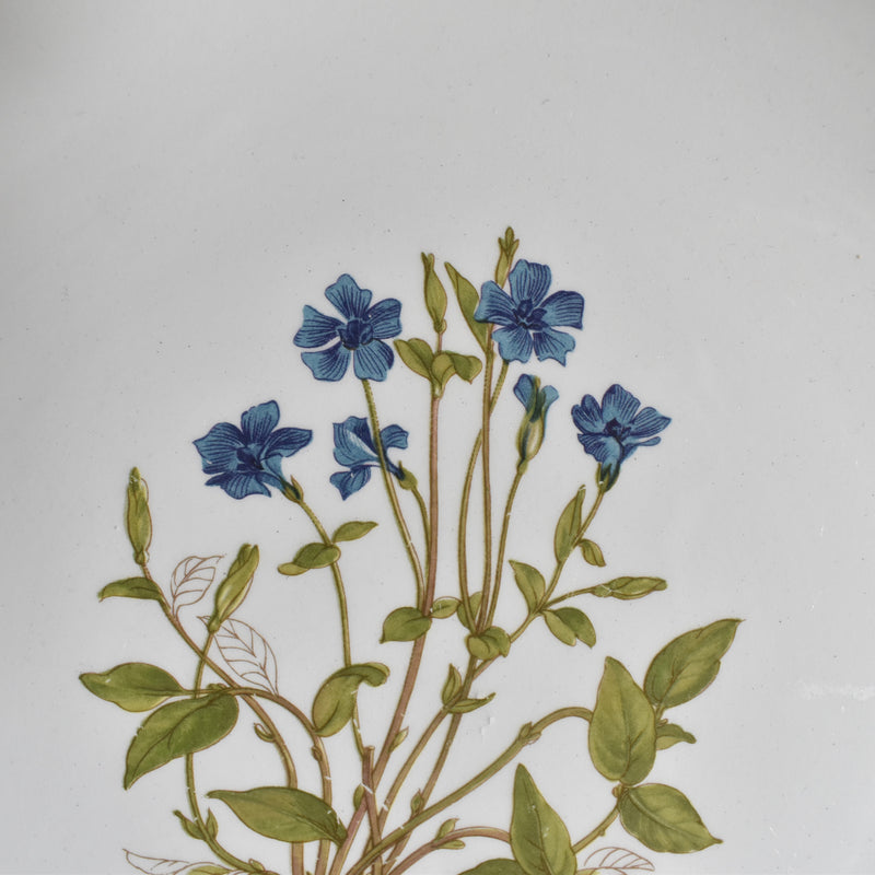 Vintage Dessert Plate, Moulin des Loups Pervinca