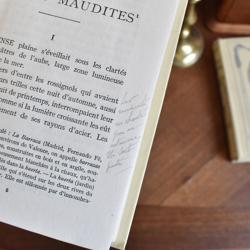 Vintage book V.Blasco Ibanez Terres maudites