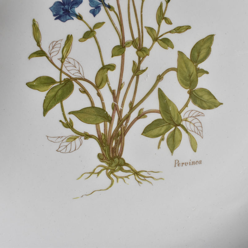 Vintage Dessert Plate, Moulin des Loups Pervinca