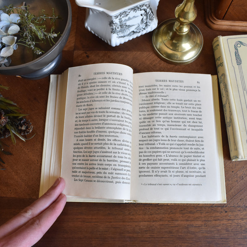 Vintage book V.Blasco Ibanez Terres maudites