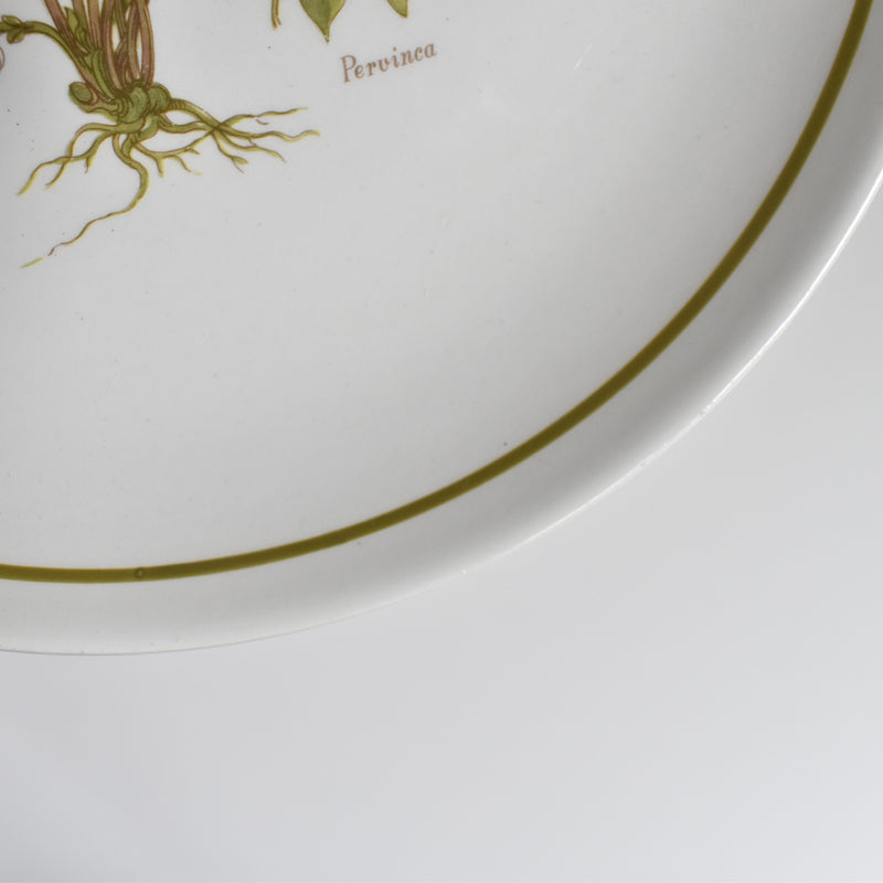 Vintage Dessert Plate, Moulin des Loups Pervinca