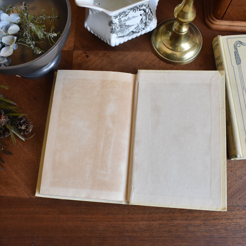 Vintage book V.Blasco Ibanez Terres maudites