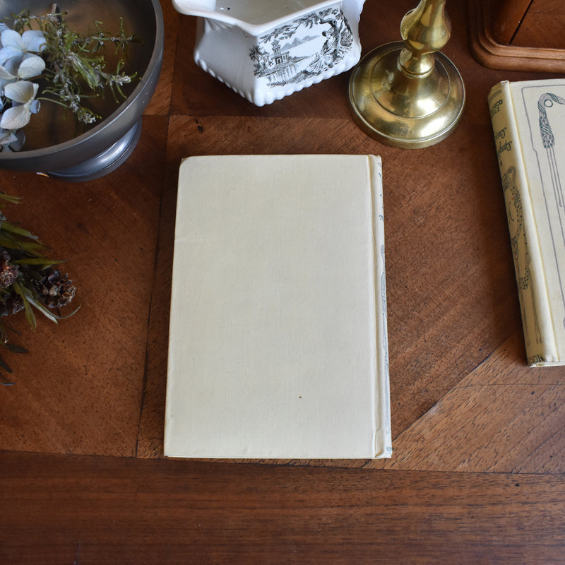 Vintage book V.Blasco Ibanez Terres maudites