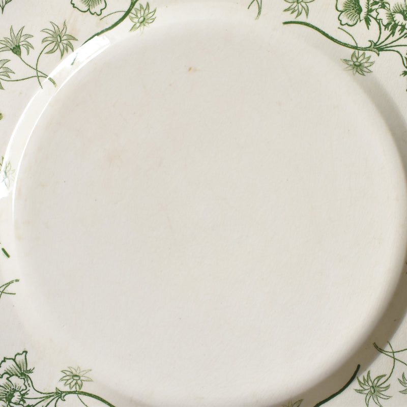 Antique Plate, U&C Sarreguemines, Palmyre B