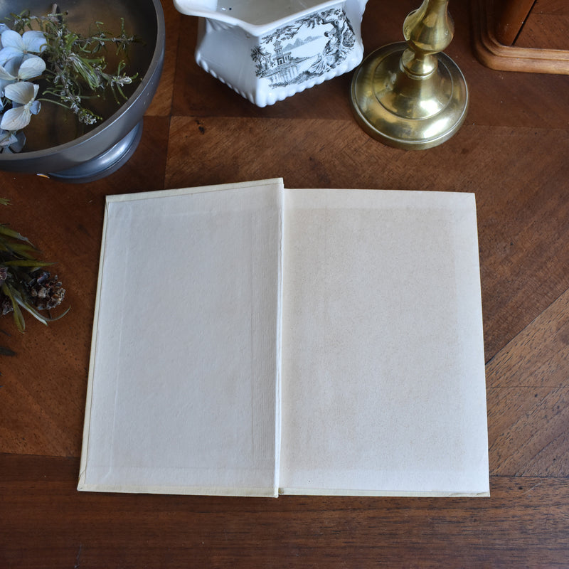 Vintage book V.Blasco Ibanez Blood and Sand
