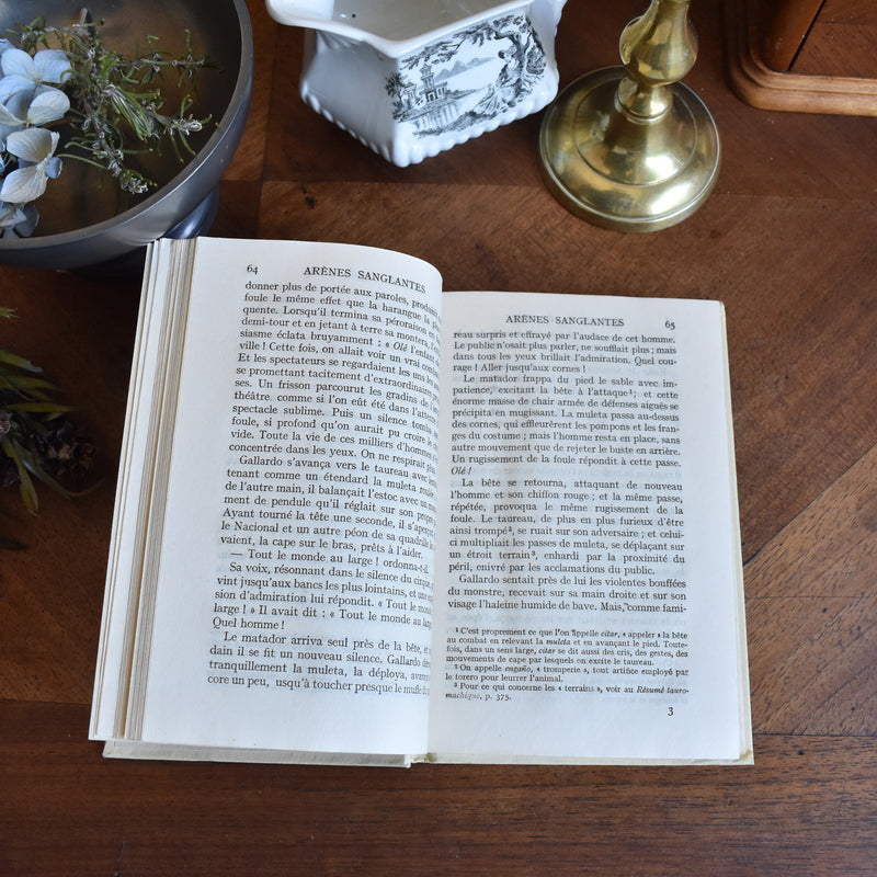 Vintage book V.Blasco Ibanez Blood and Sand