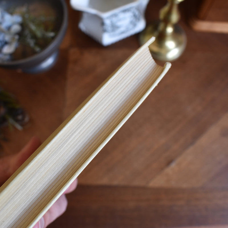 Vintage book V.Blasco Ibanez Blood and Sand