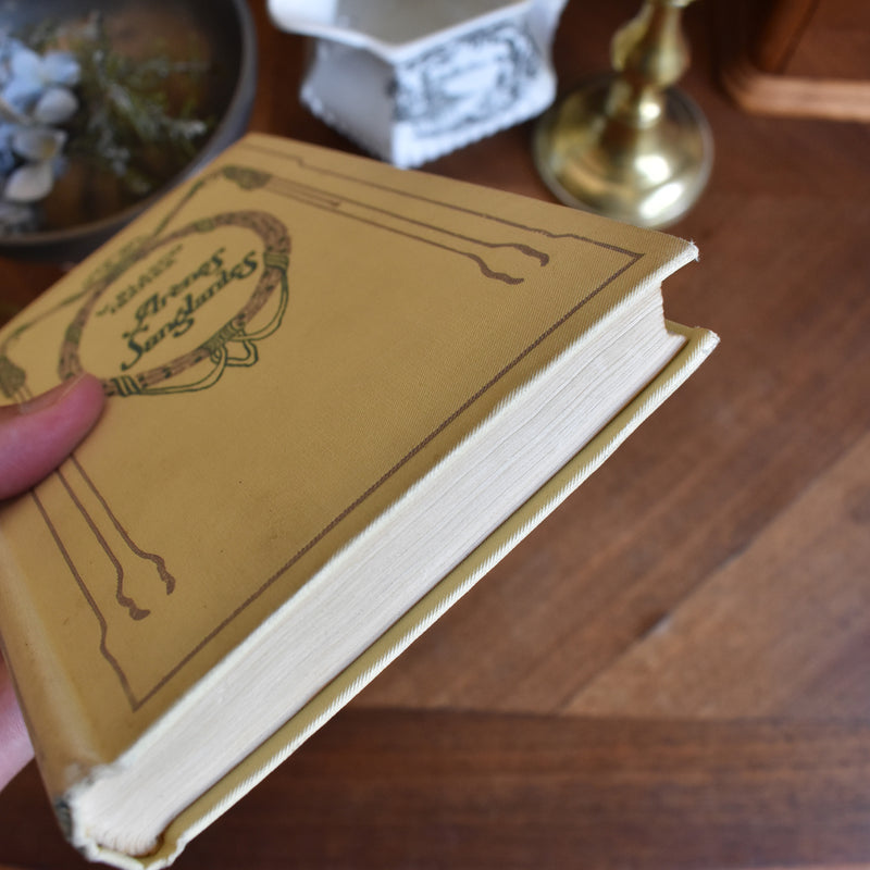 Vintage book V.Blasco Ibanez Blood and Sand