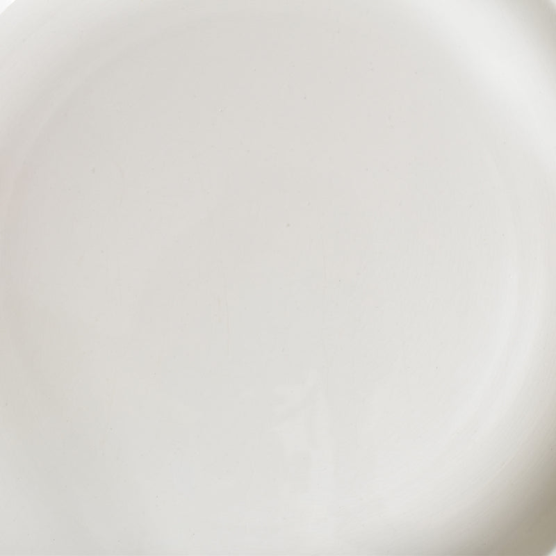 ヴィンテージプレート ディゴワン＆サルグミンヌ ホワイトレリーフ A