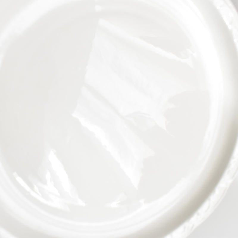 ヴィンテージプレート ディゴワン＆サルグミンヌ ホワイトレリーフ B