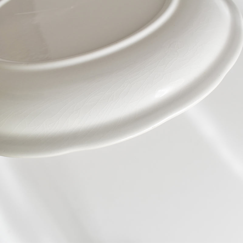 Vintage Plate Digoin & Sarreguemines White Relief C