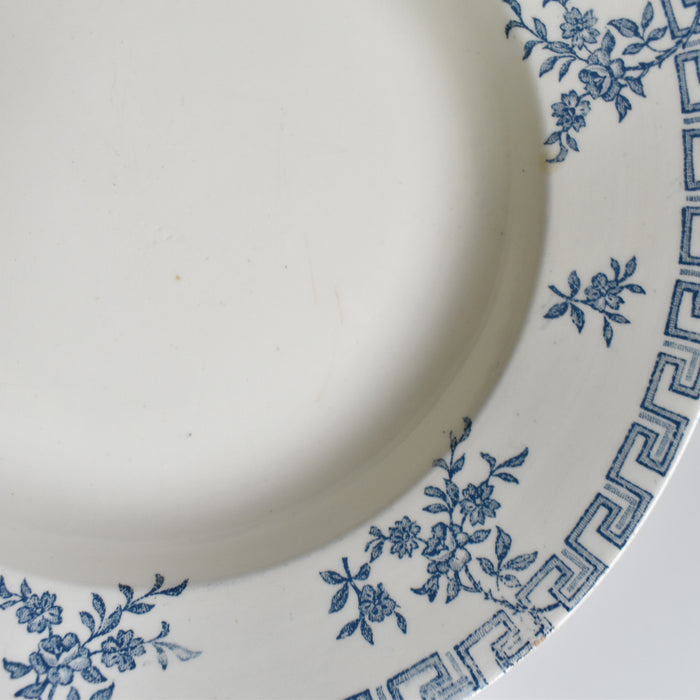 アンティーク深皿 LGクレールフォンテーヌ Athénes B