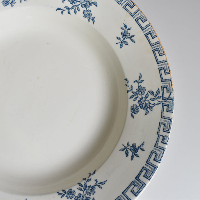 アンティーク深皿 LGクレールフォンテーヌ Athénes B