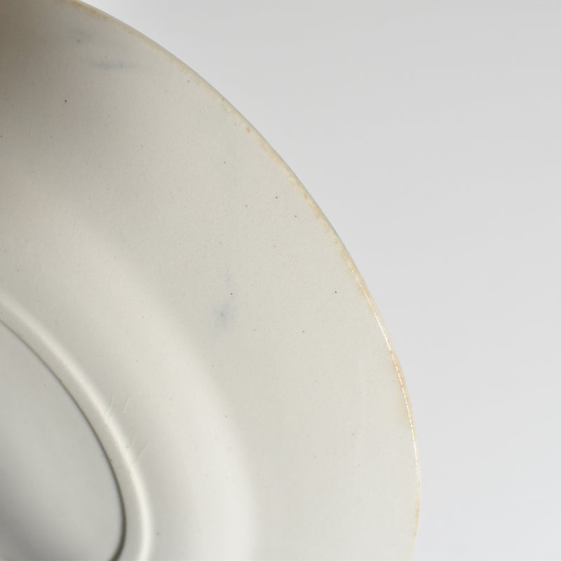 Antique Plate TERRE DE FER Paris B