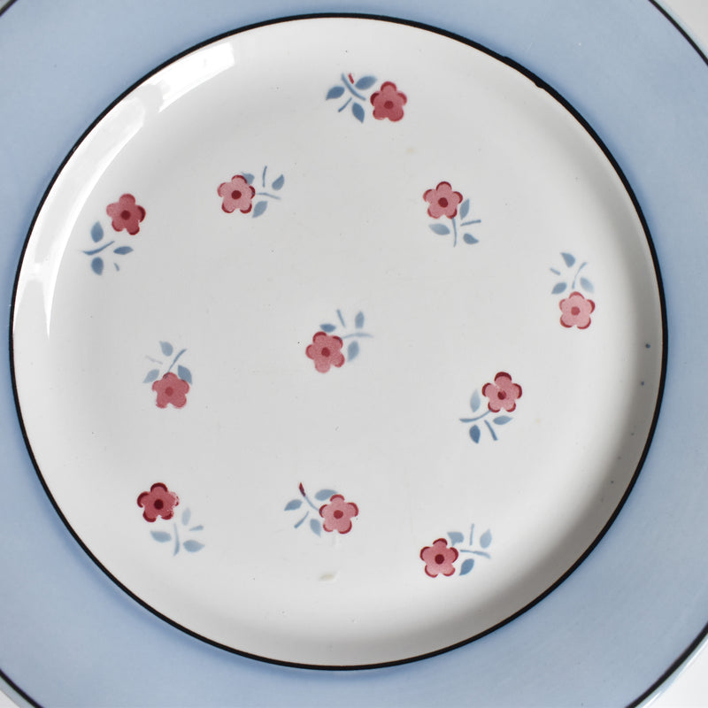 Vintage plate Digoin & Sarreguemines Aix A